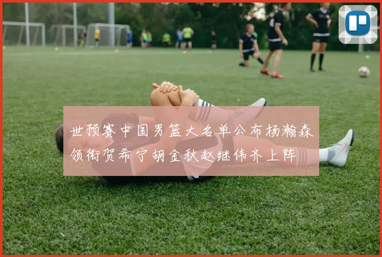 世预赛中国男篮大名单公布杨瀚森领衔贺希宁胡金秋赵继伟齐上阵